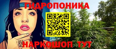 крисы Гусь-Хрустальный